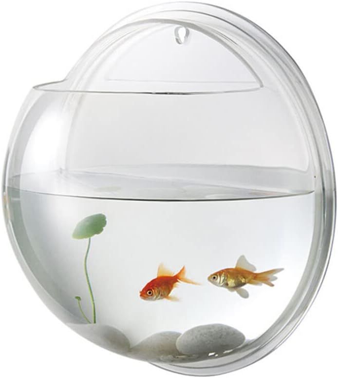 🐠 Hanging Wall-Mounted Acrylic Fish Bowl | Modern Decor Meets Miniature Garden