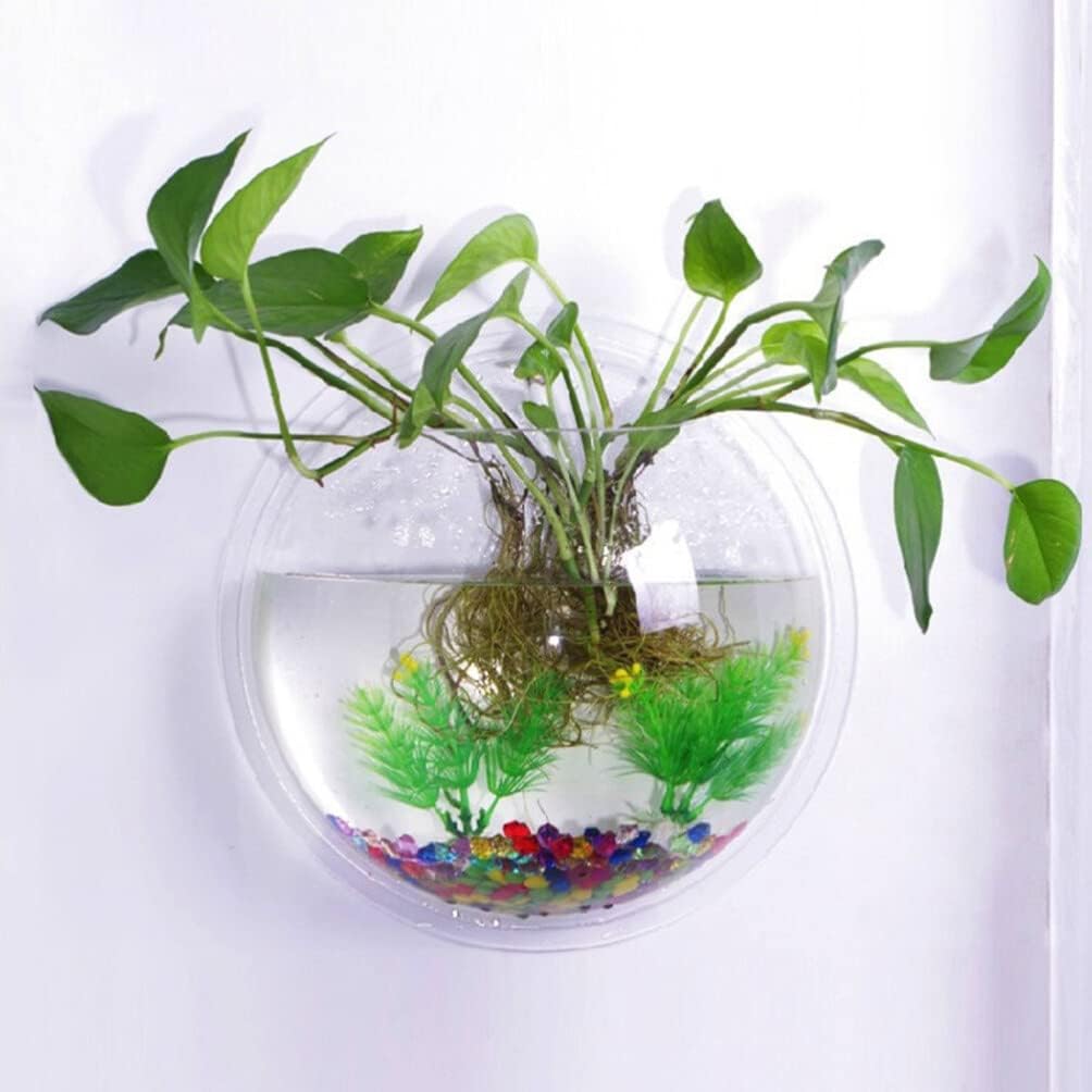 🐠 Hanging Wall-Mounted Acrylic Fish Bowl | Modern Decor Meets Miniature Garden