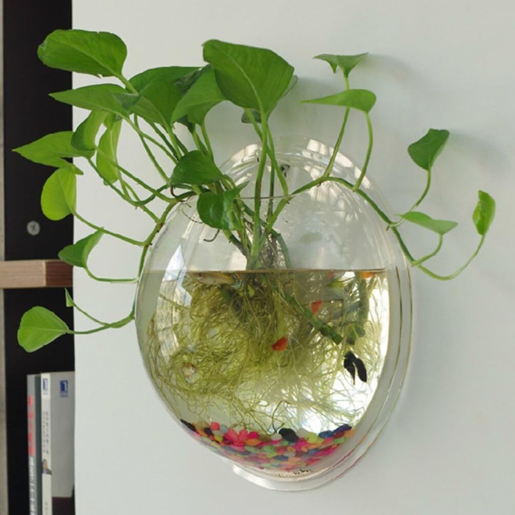 🐠 Hanging Wall-Mounted Acrylic Fish Bowl | Modern Decor Meets Miniature Garden