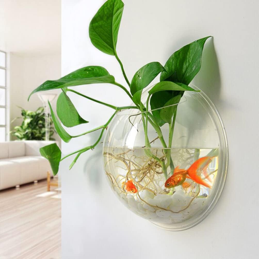 🐠 Hanging Wall-Mounted Acrylic Fish Bowl | Modern Decor Meets Miniature Garden