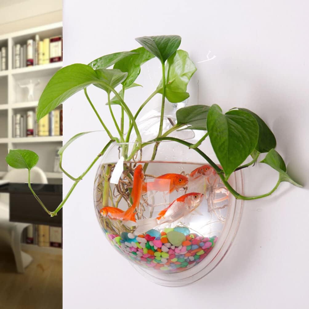 🐠 Hanging Wall-Mounted Acrylic Fish Bowl | Modern Decor Meets Miniature Garden