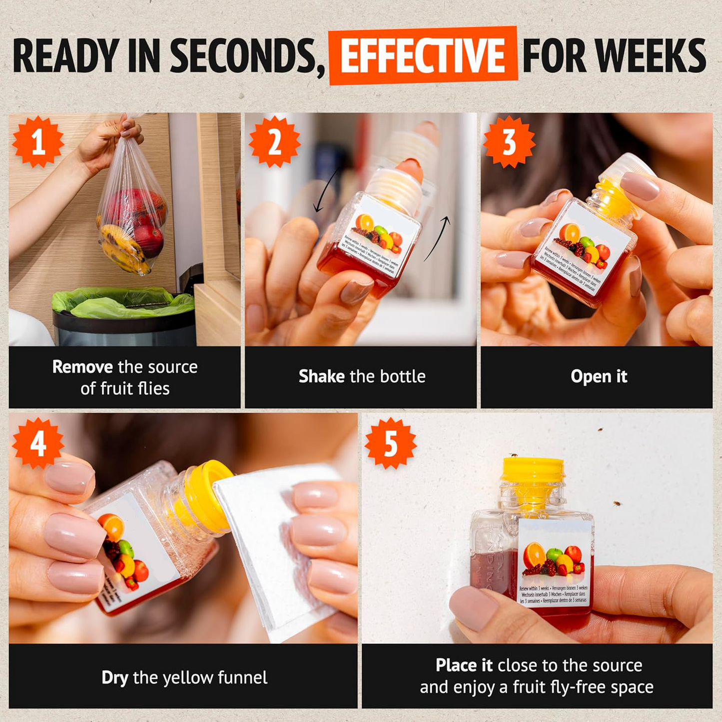 🍎 Fruit Fly Trap | Safe & Effective Kitchen Solution