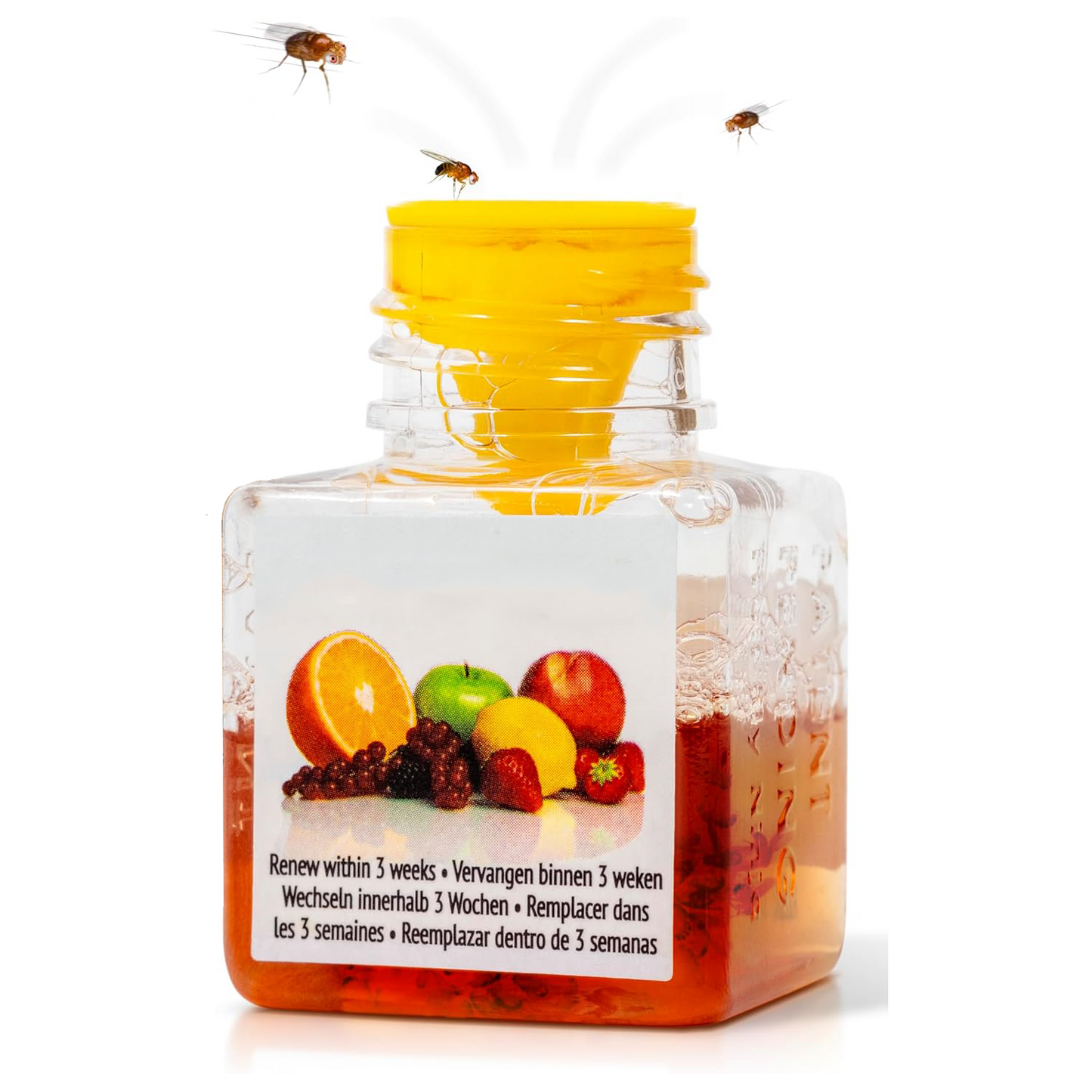 🍎 Fruit Fly Trap | Safe & Effective Kitchen Solution