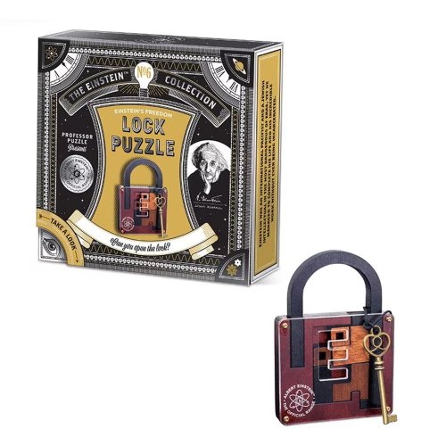 Einstein-Style Log Puzzle Lock – Unlock the Hidden Key