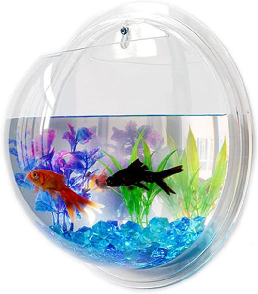 🐠 Hanging Wall-Mounted Acrylic Fish Bowl | Modern Decor Meets Miniature Garden
