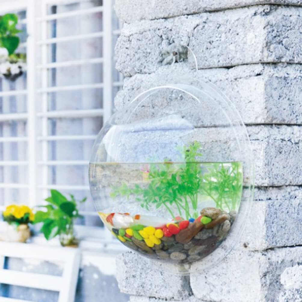 🐠 Hanging Wall-Mounted Acrylic Fish Bowl | Modern Decor Meets Miniature Garden