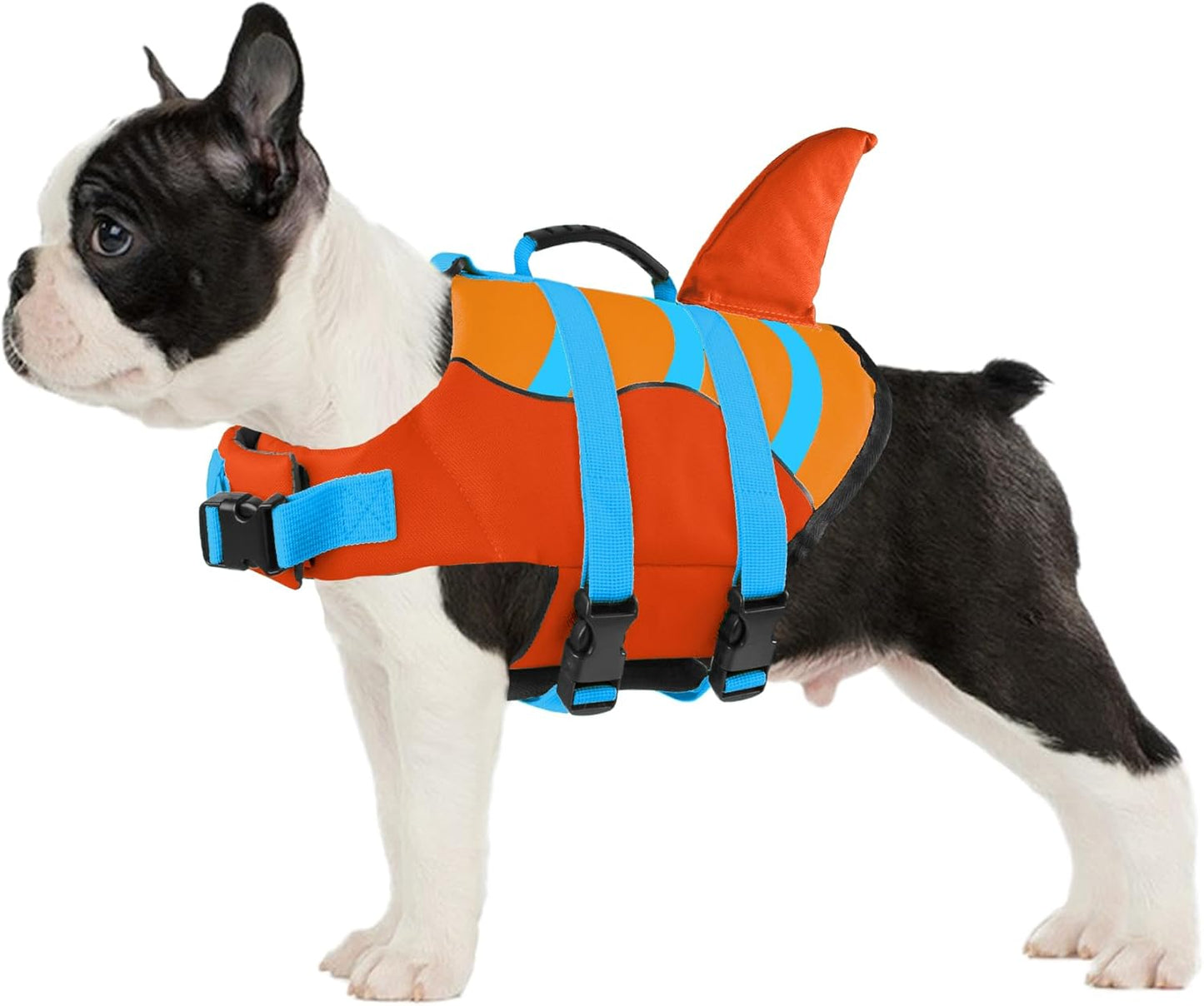 🐶 Small Dog Life Jacket | Shark Fin Design for Safe & Stylish Water Play 🌊