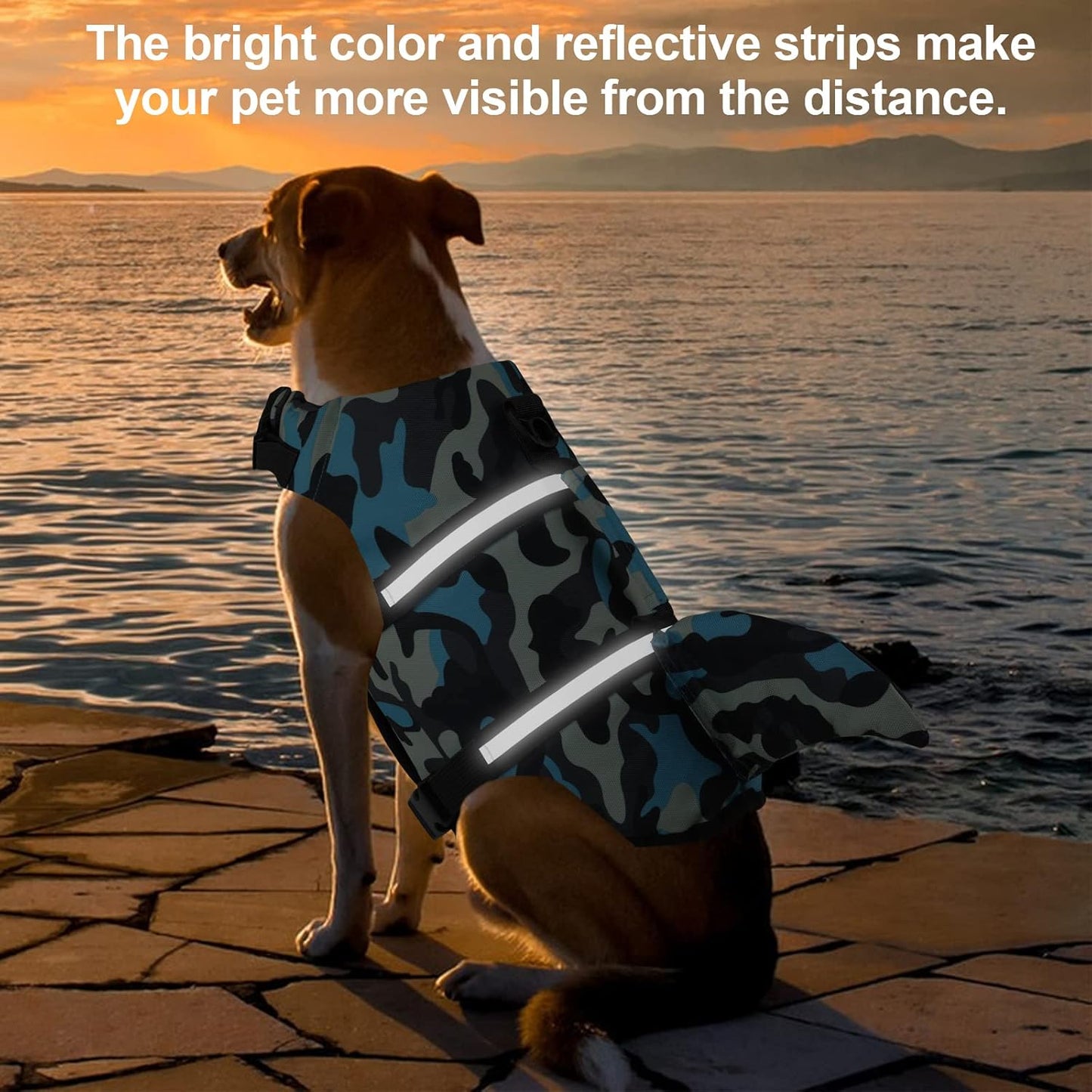 🐶 Small Dog Life Jacket | Shark Fin Design for Safe & Stylish Water Play 🌊