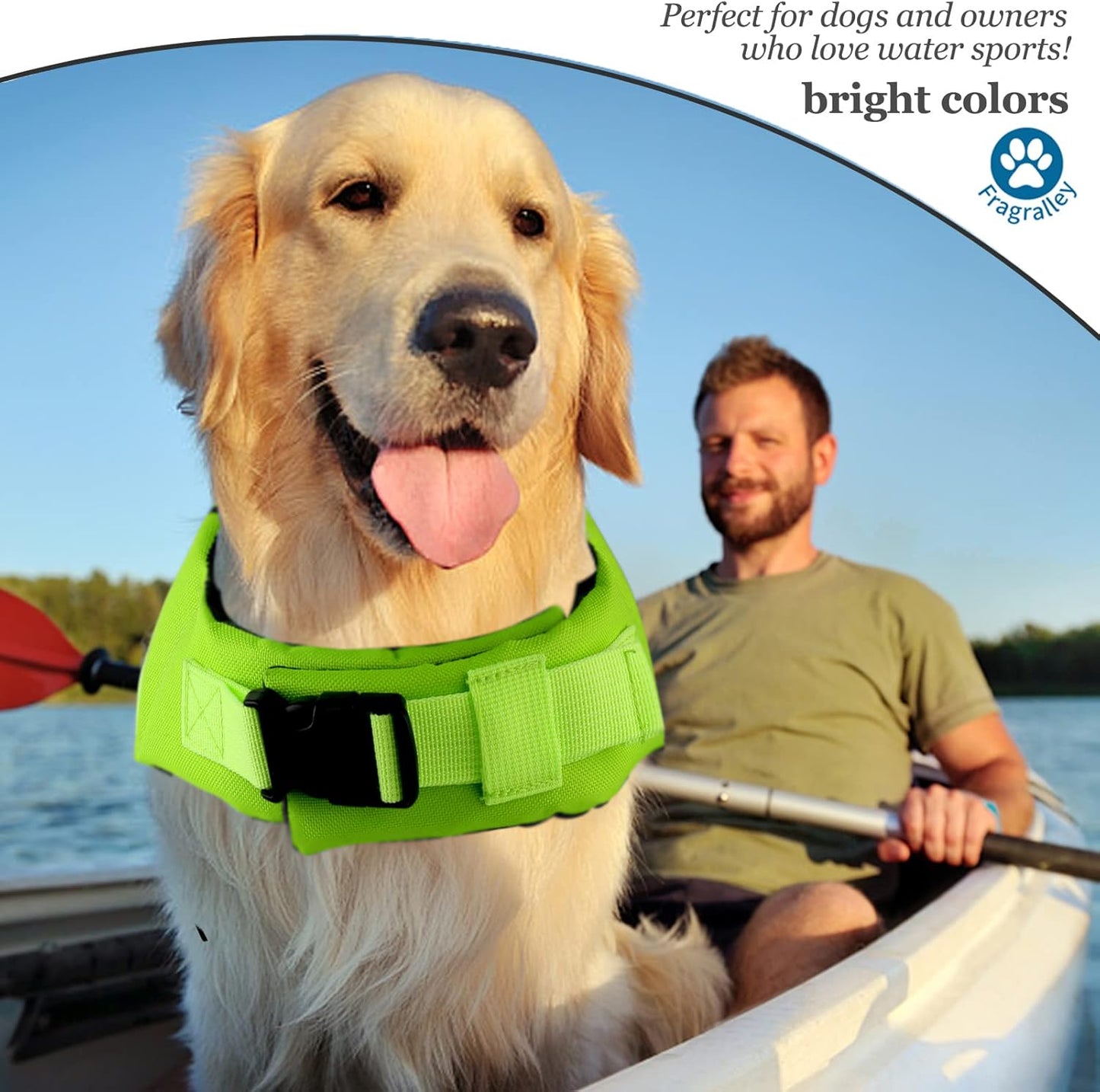 🐶 Small Dog Life Jacket | Shark Fin Design for Safe & Stylish Water Play 🌊