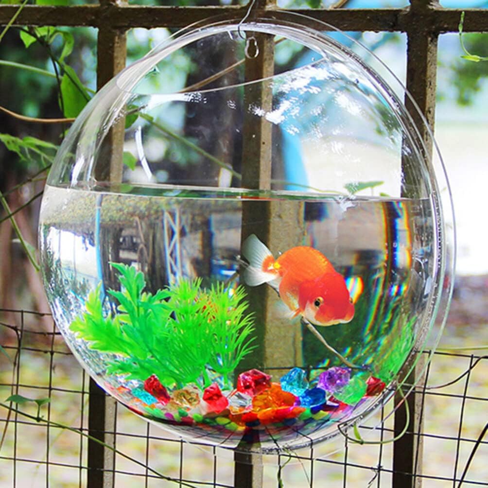 🐠 Hanging Wall-Mounted Acrylic Fish Bowl | Modern Decor Meets Miniature Garden