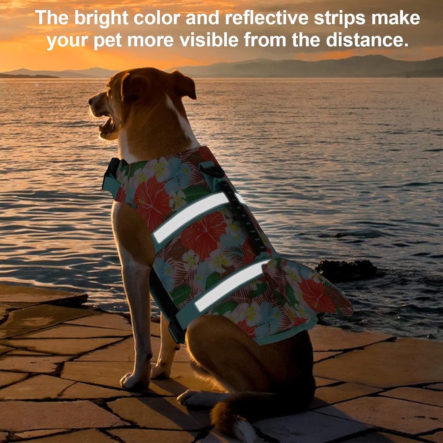 🐶 Small Dog Life Jacket | Shark Fin Design for Safe & Stylish Water Play 🌊