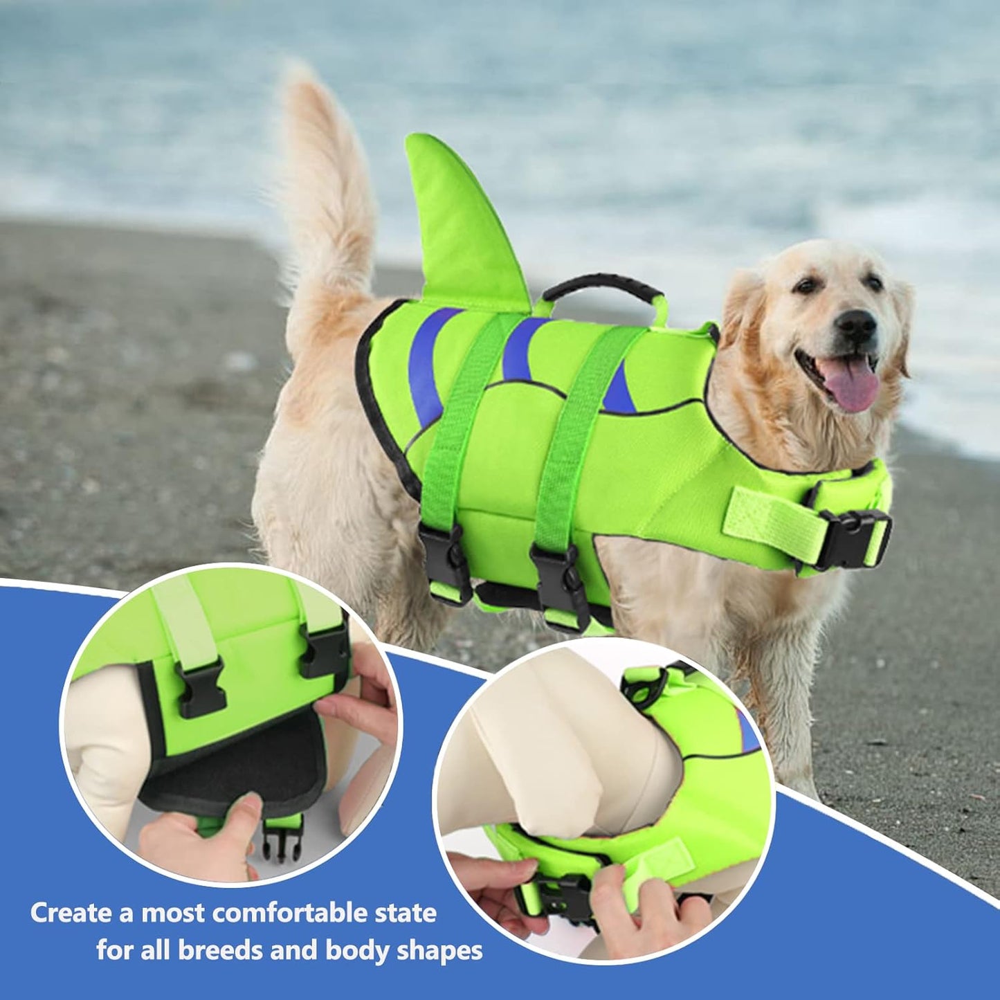 🐶 Small Dog Life Jacket | Shark Fin Design for Safe & Stylish Water Play 🌊