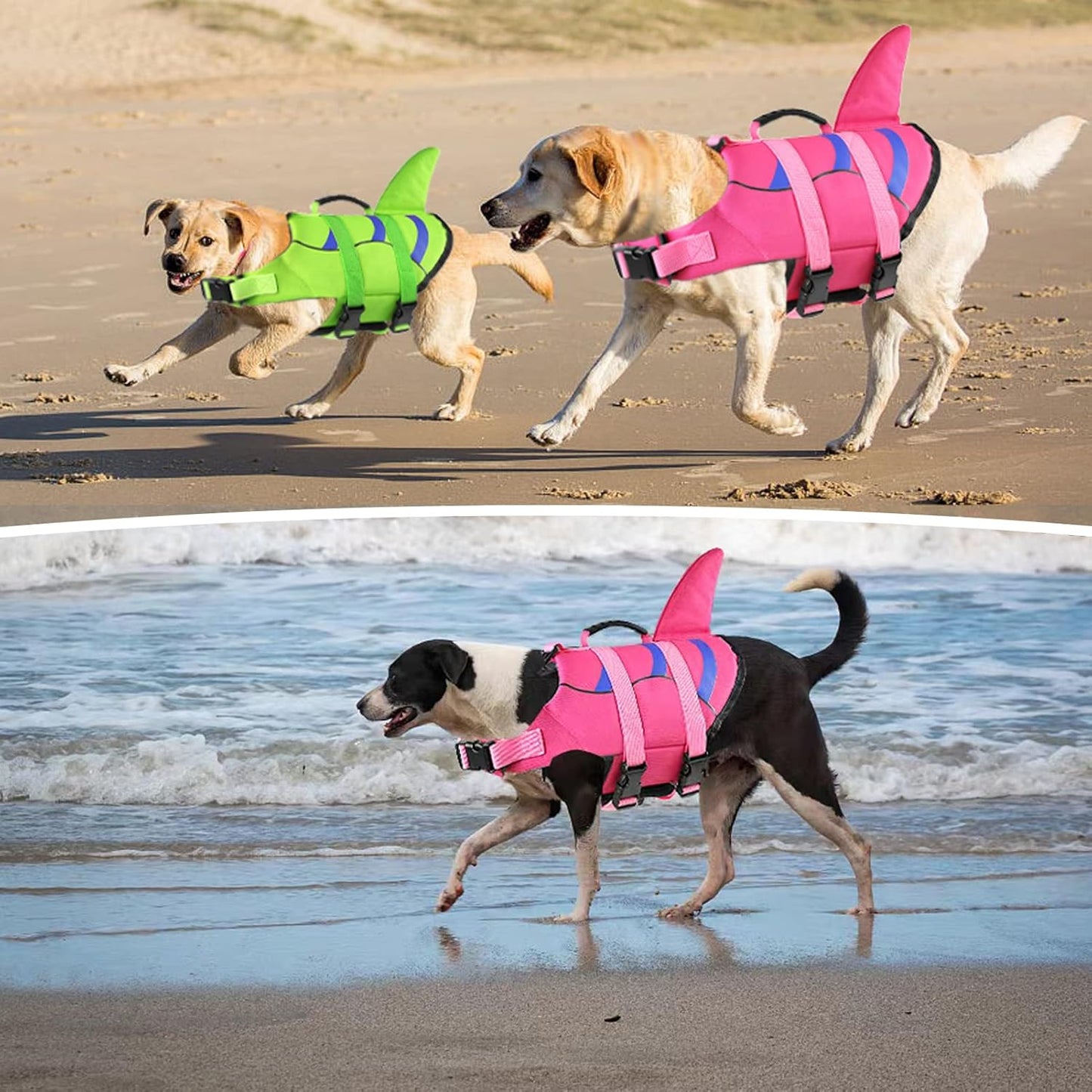 🐶 Small Dog Life Jacket | Shark Fin Design for Safe & Stylish Water Play 🌊