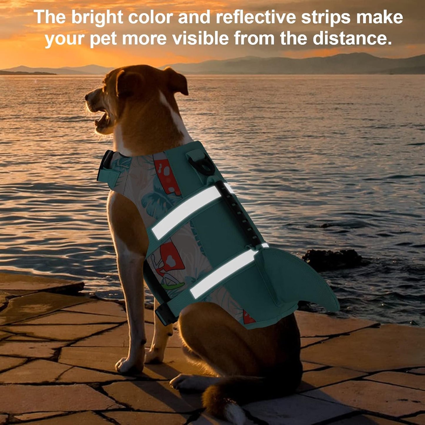 🐶 Small Dog Life Jacket | Shark Fin Design for Safe & Stylish Water Play 🌊
