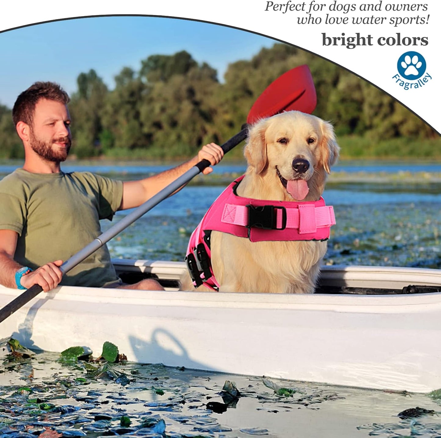 🐶 Small Dog Life Jacket | Shark Fin Design for Safe & Stylish Water Play 🌊