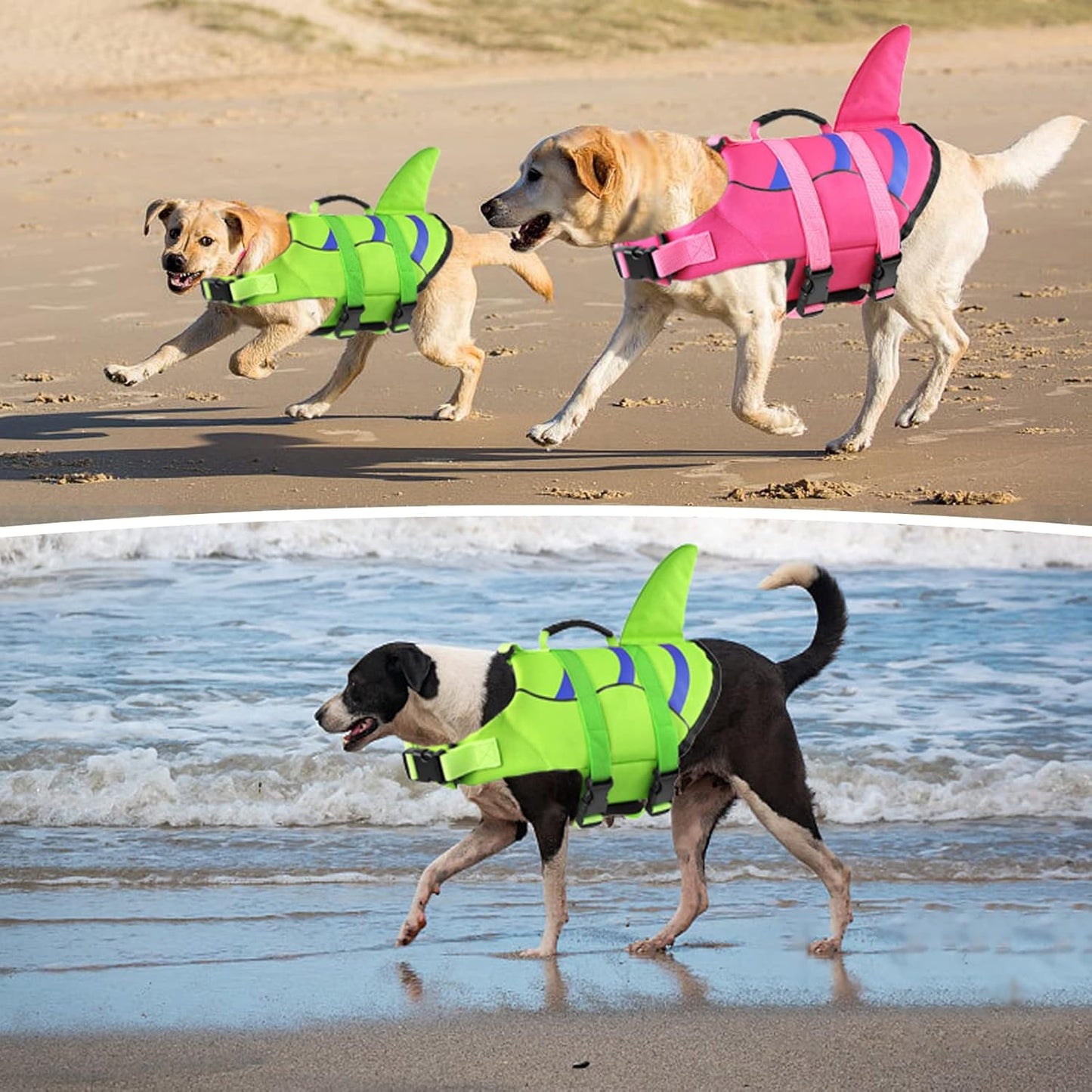 🐶 Small Dog Life Jacket | Shark Fin Design for Safe & Stylish Water Play 🌊