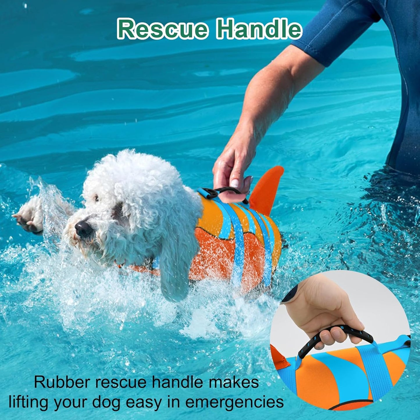 🐶 Small Dog Life Jacket | Shark Fin Design for Safe & Stylish Water Play 🌊