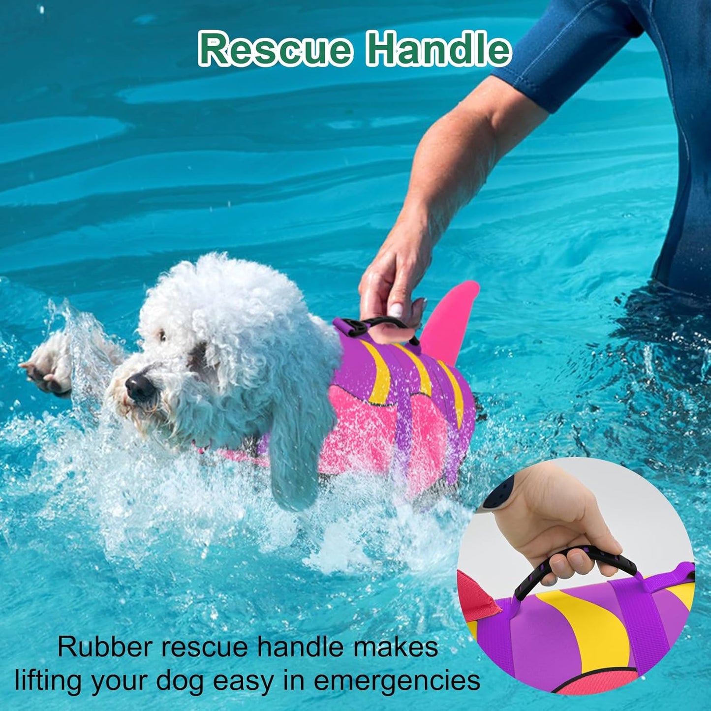 🐶 Small Dog Life Jacket | Shark Fin Design for Safe & Stylish Water Play 🌊
