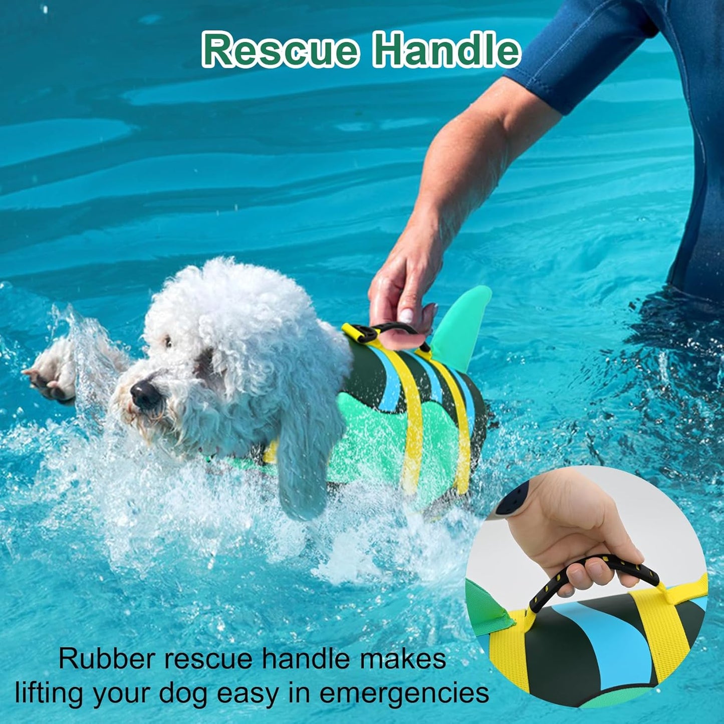🐶 Small Dog Life Jacket | Shark Fin Design for Safe & Stylish Water Play 🌊