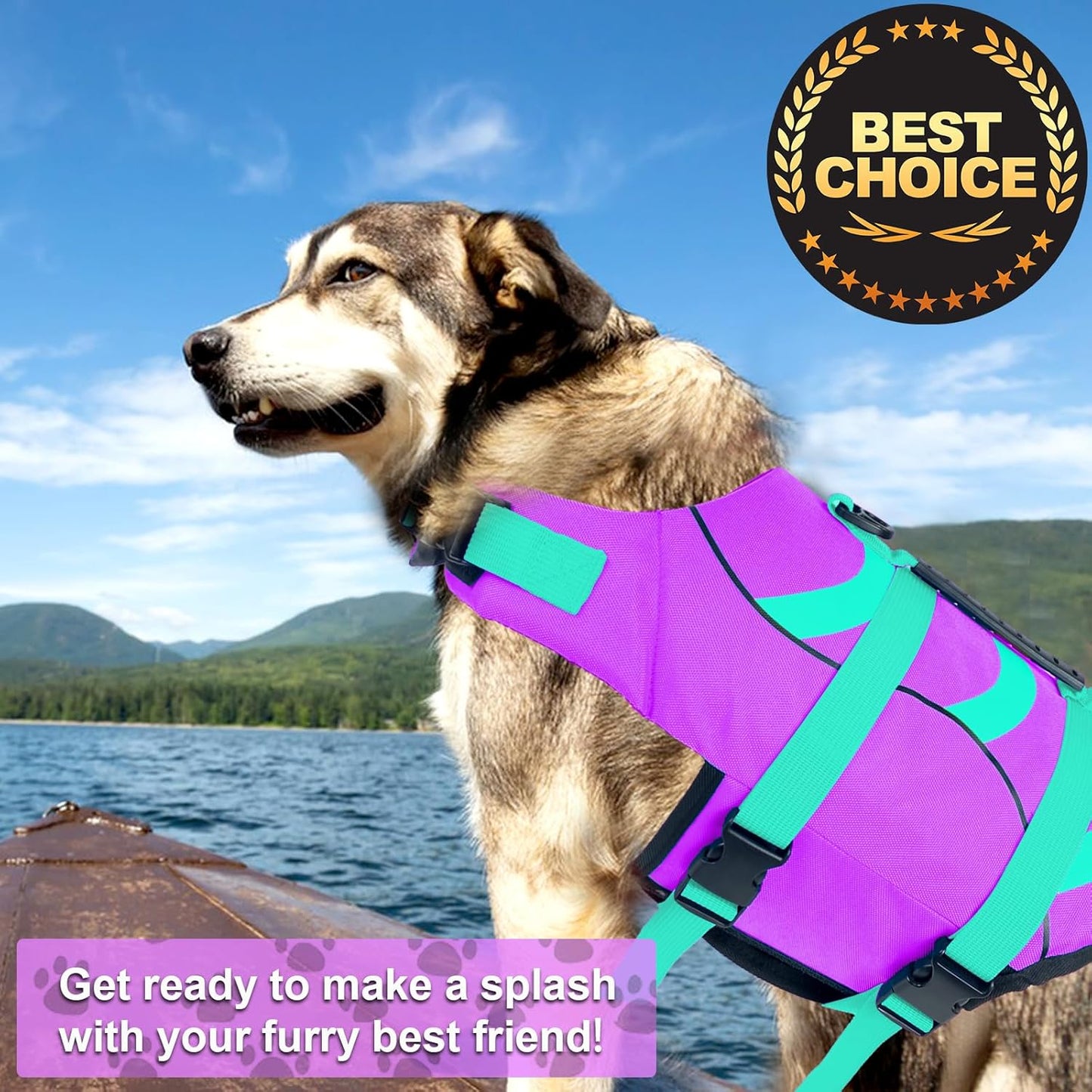 🐶 Small Dog Life Jacket | Shark Fin Design for Safe & Stylish Water Play 🌊