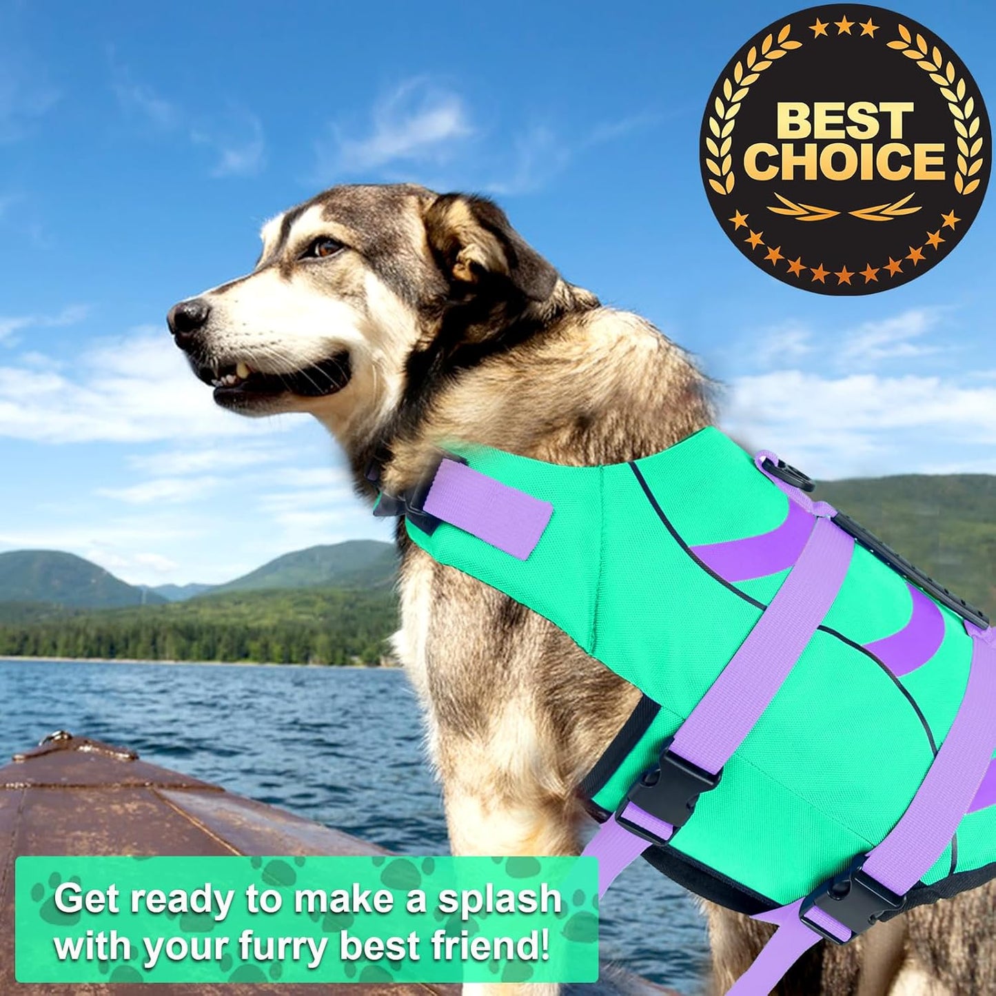 🐶 Small Dog Life Jacket | Shark Fin Design for Safe & Stylish Water Play 🌊