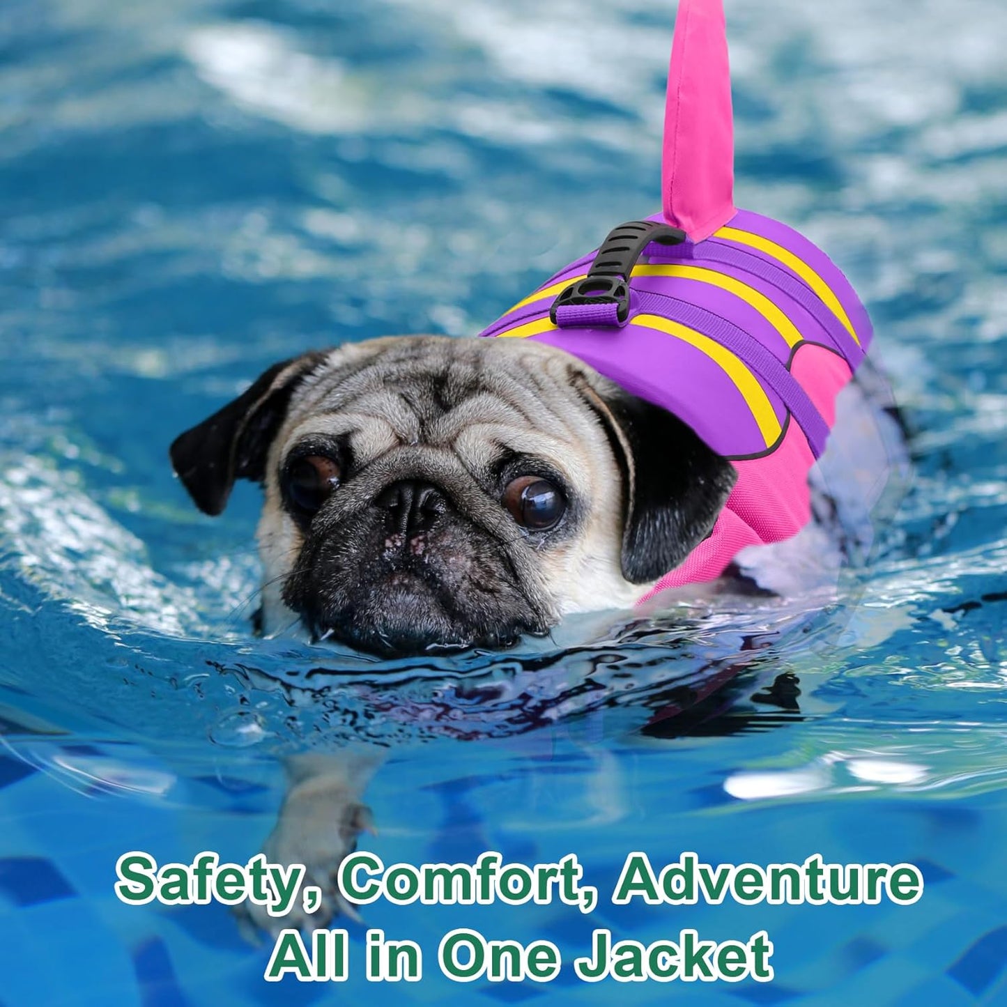 🐶 Small Dog Life Jacket | Shark Fin Design for Safe & Stylish Water Play 🌊
