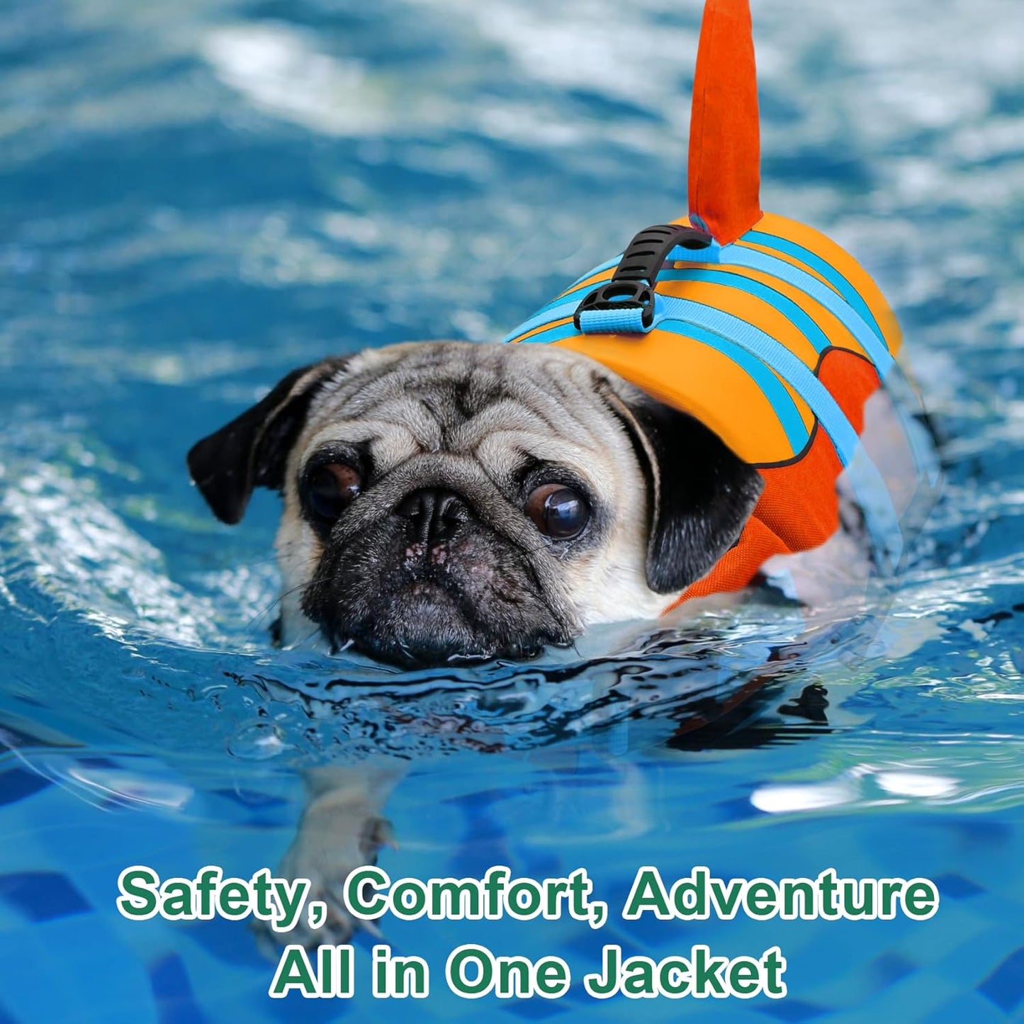🐶 Small Dog Life Jacket | Shark Fin Design for Safe & Stylish Water Play 🌊