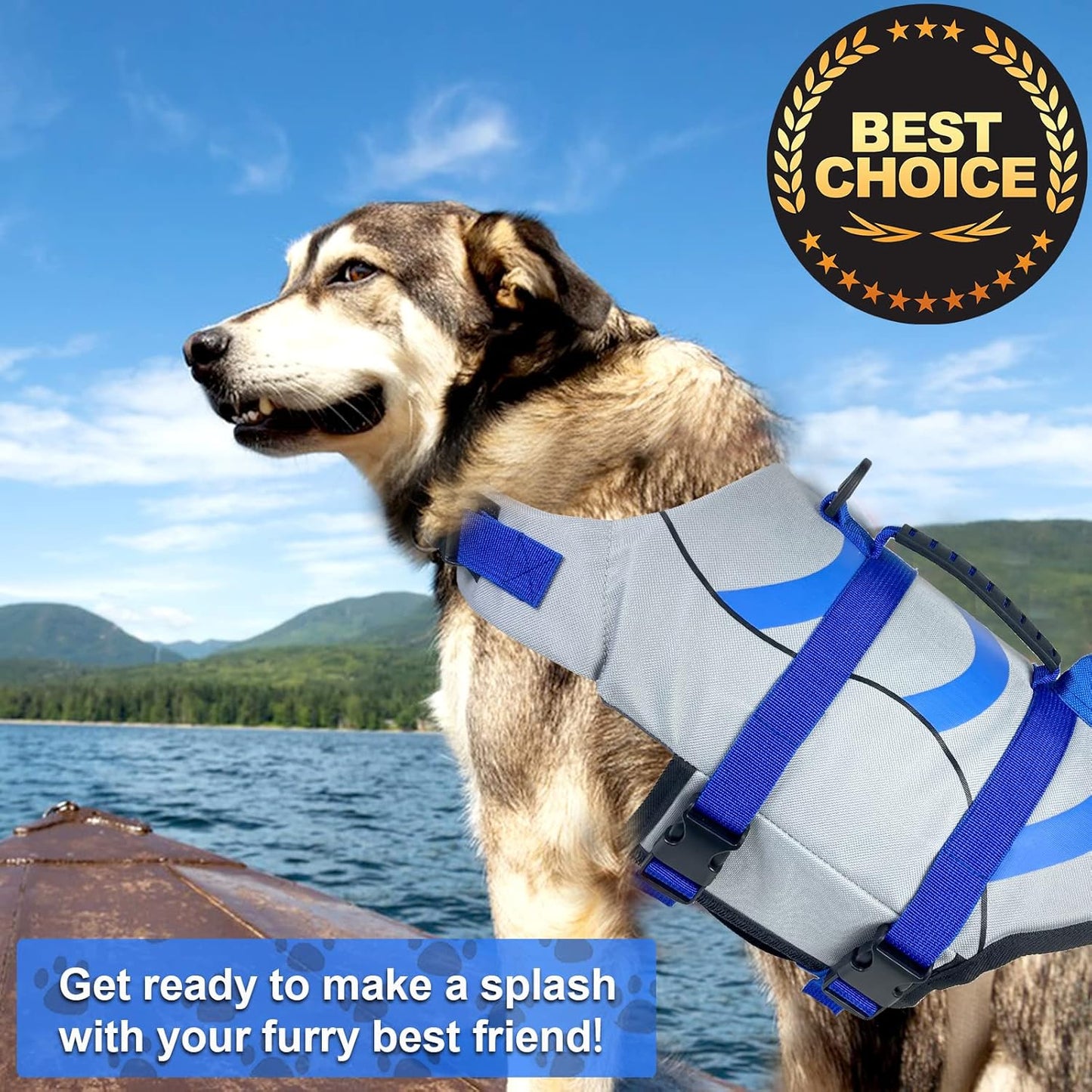🐶 Small Dog Life Jacket | Shark Fin Design for Safe & Stylish Water Play 🌊