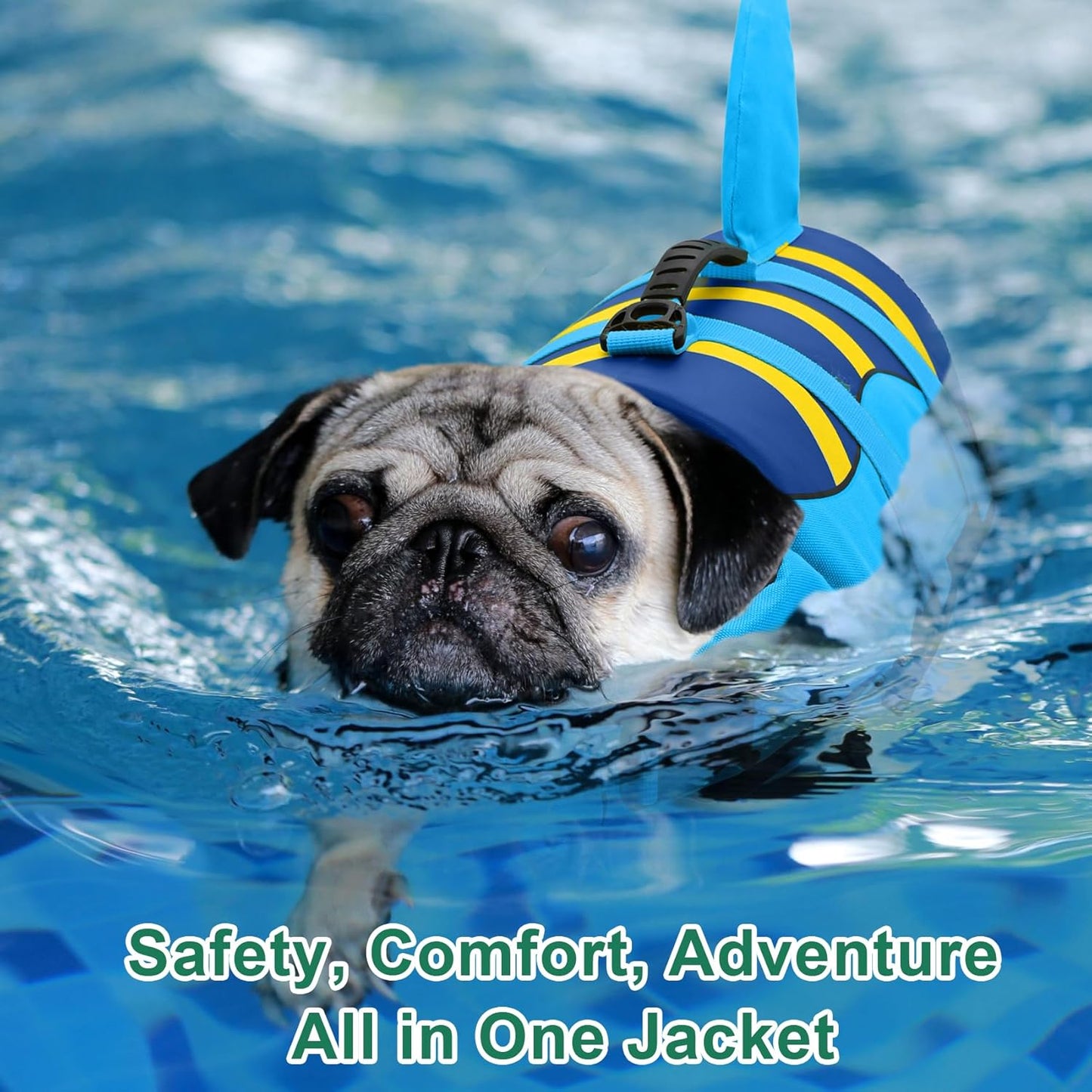 🐶 Small Dog Life Jacket | Shark Fin Design for Safe & Stylish Water Play 🌊
