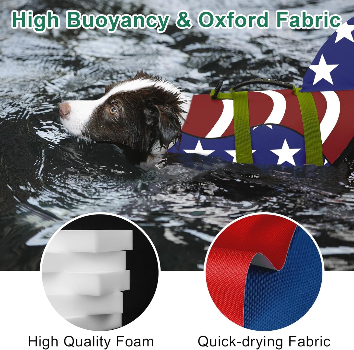 🐶 Small Dog Life Jacket | Shark Fin Design for Safe & Stylish Water Play 🌊