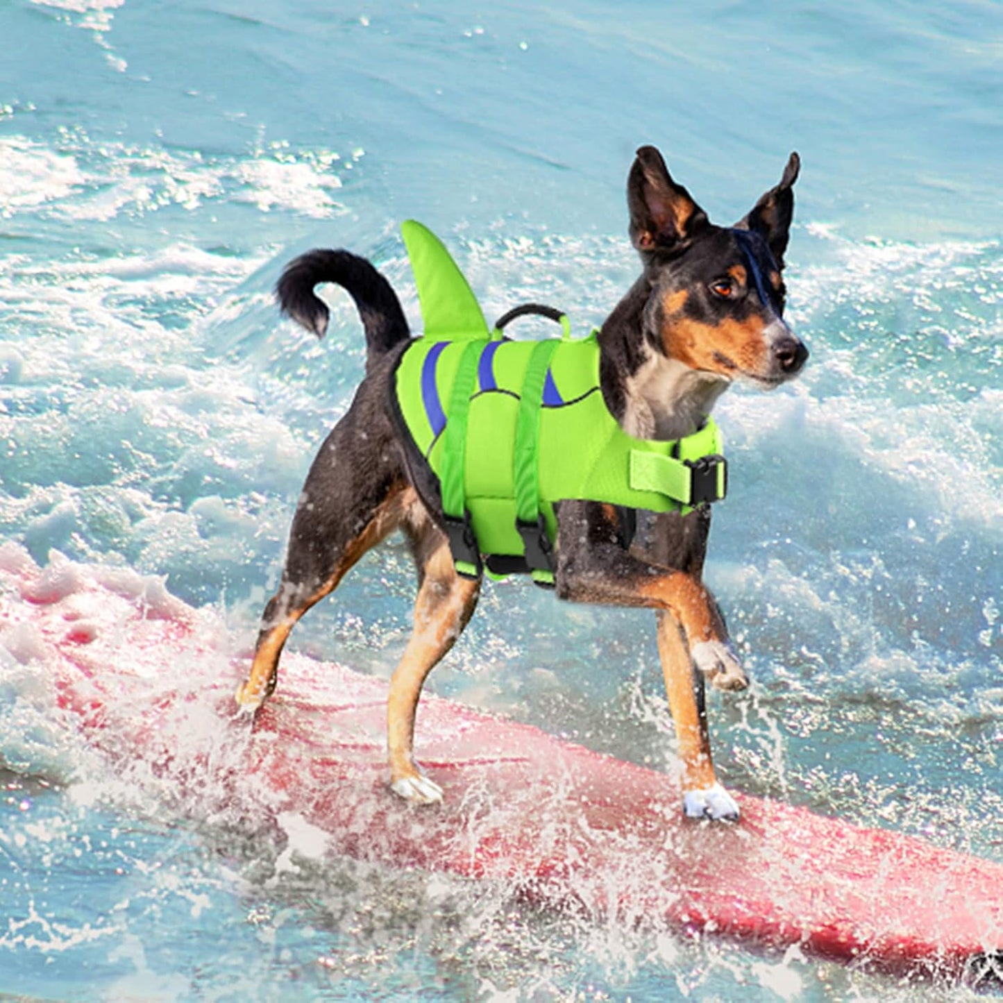 🐶 Small Dog Life Jacket | Shark Fin Design for Safe & Stylish Water Play 🌊