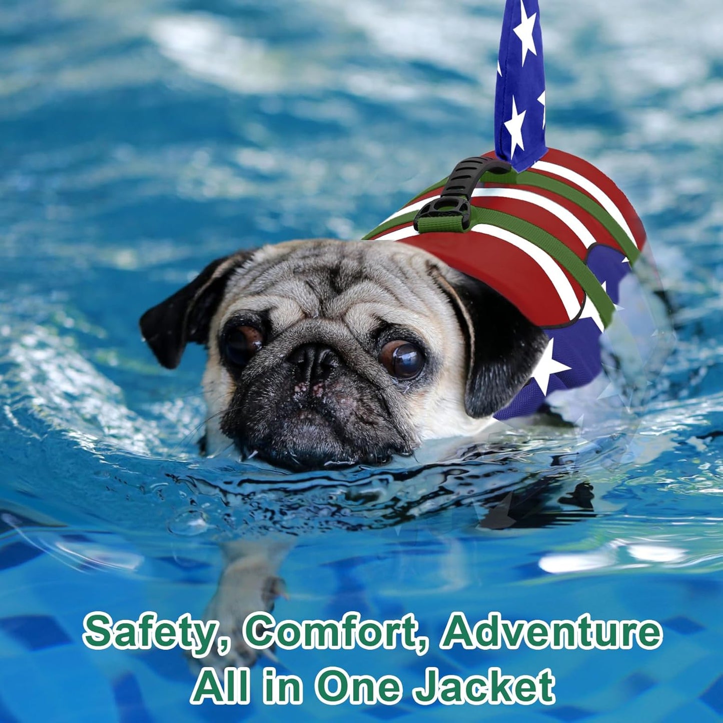 🐶 Small Dog Life Jacket | Shark Fin Design for Safe & Stylish Water Play 🌊