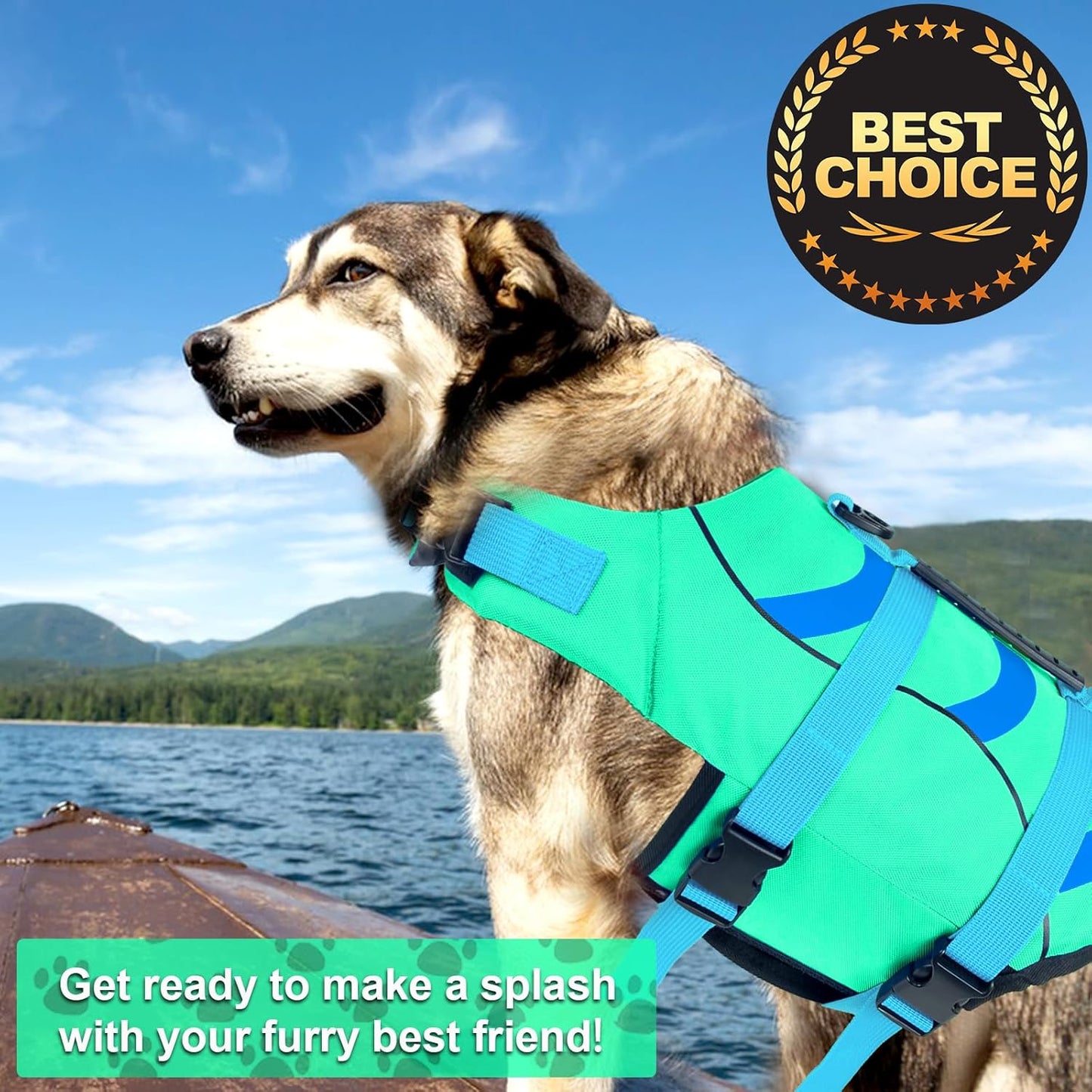 🐶 Small Dog Life Jacket | Shark Fin Design for Safe & Stylish Water Play 🌊
