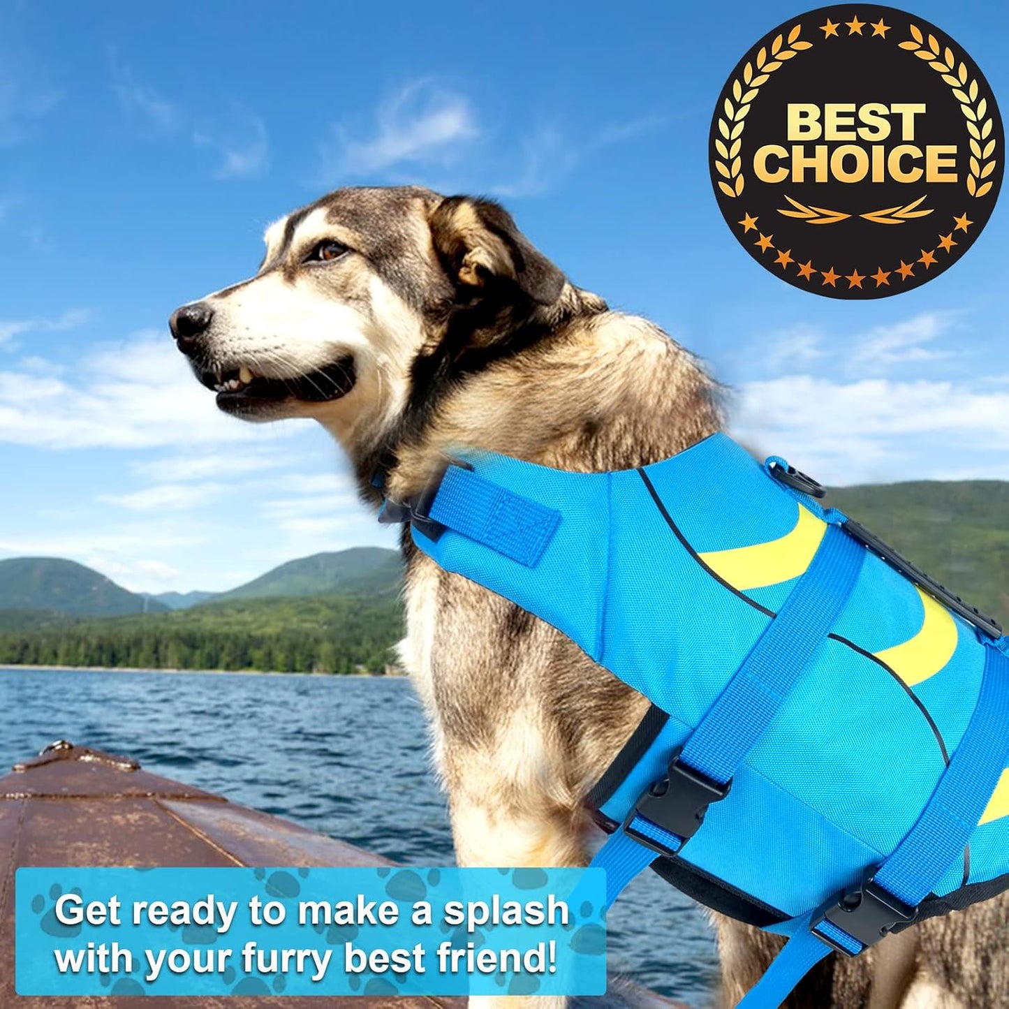 🐶 Small Dog Life Jacket | Shark Fin Design for Safe & Stylish Water Play 🌊