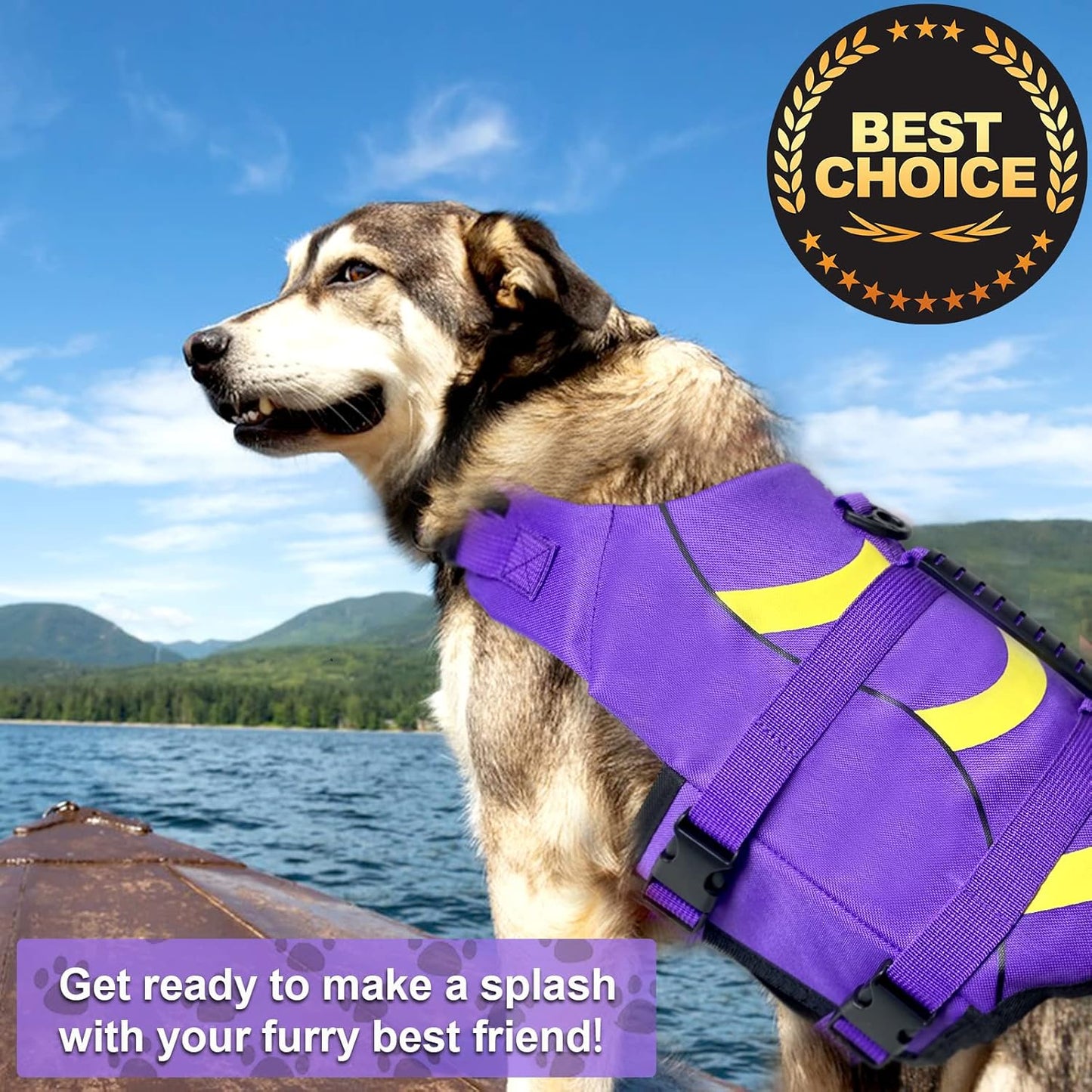 🐶 Small Dog Life Jacket | Shark Fin Design for Safe & Stylish Water Play 🌊