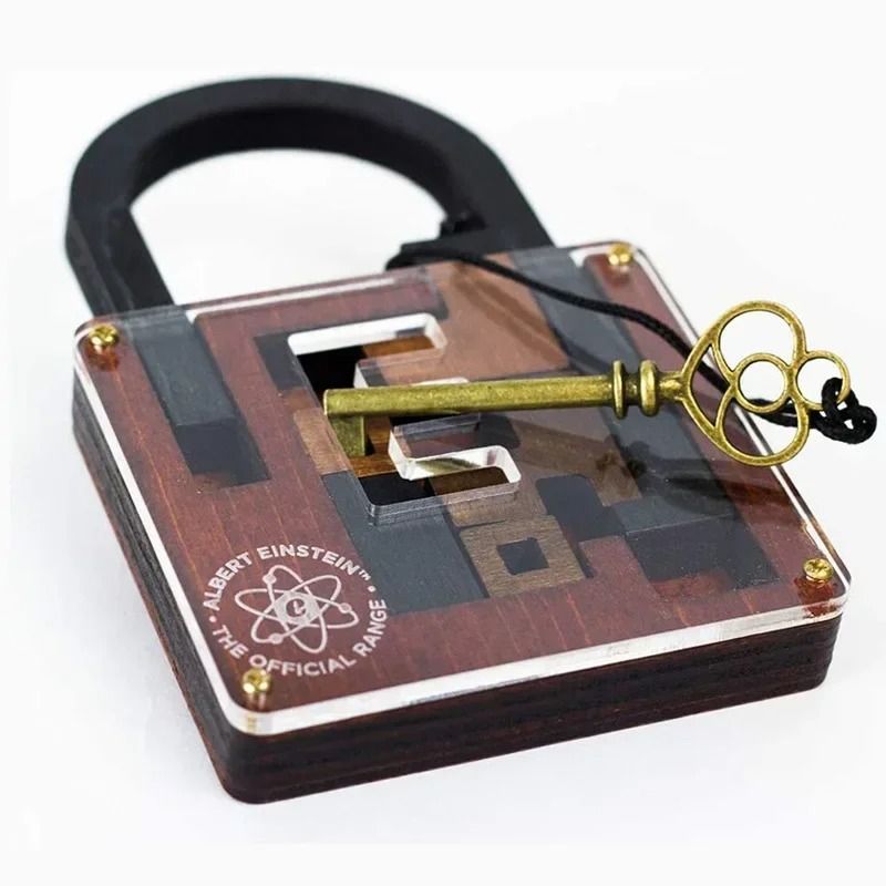 Einstein-Style Log Puzzle Lock – Unlock the Hidden Key